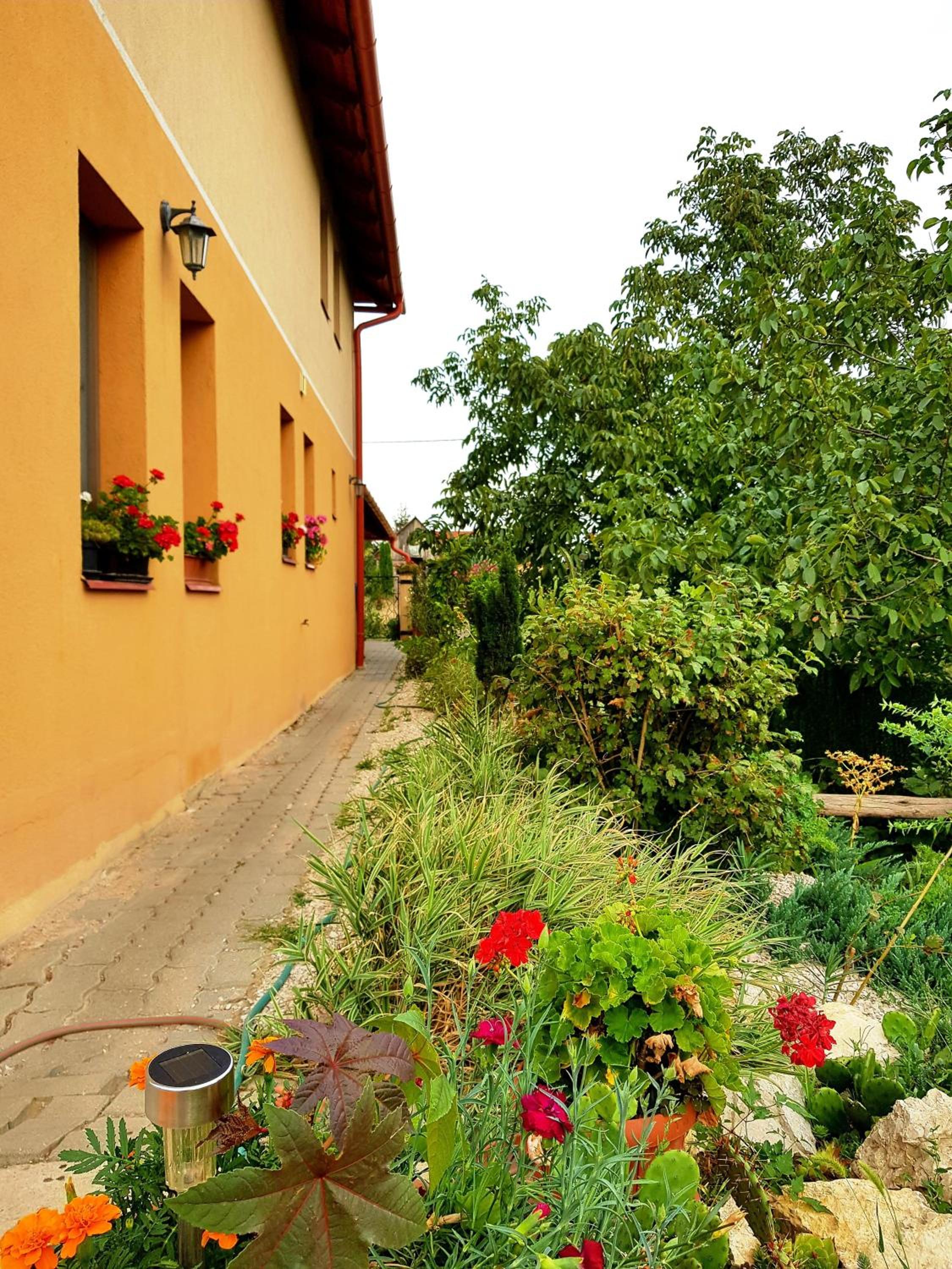 Kincsesbánya view 5