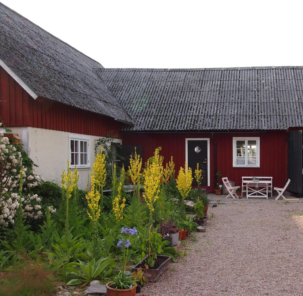 Augustas Bed & Breakfast