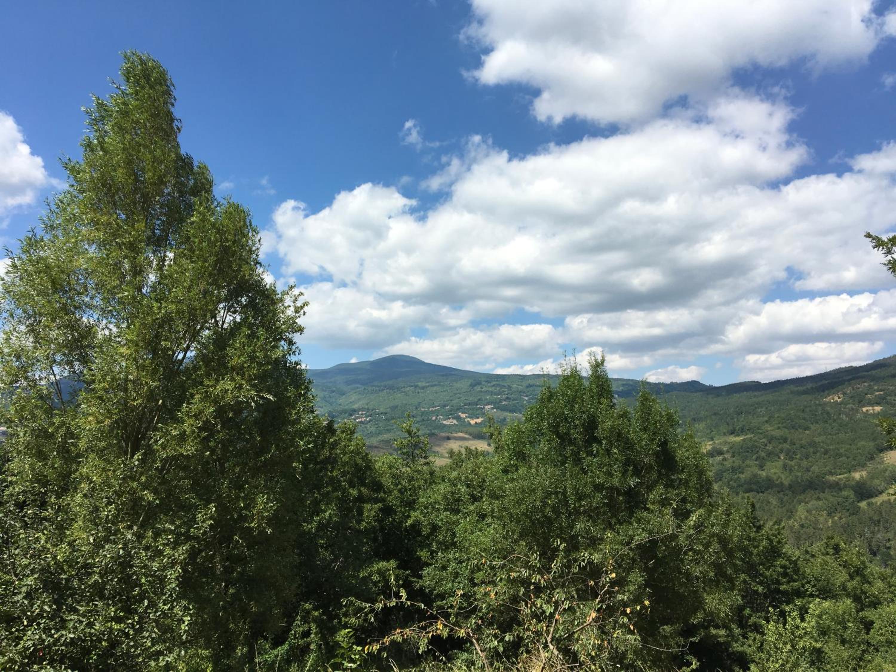Case Danti Padronale view 3
