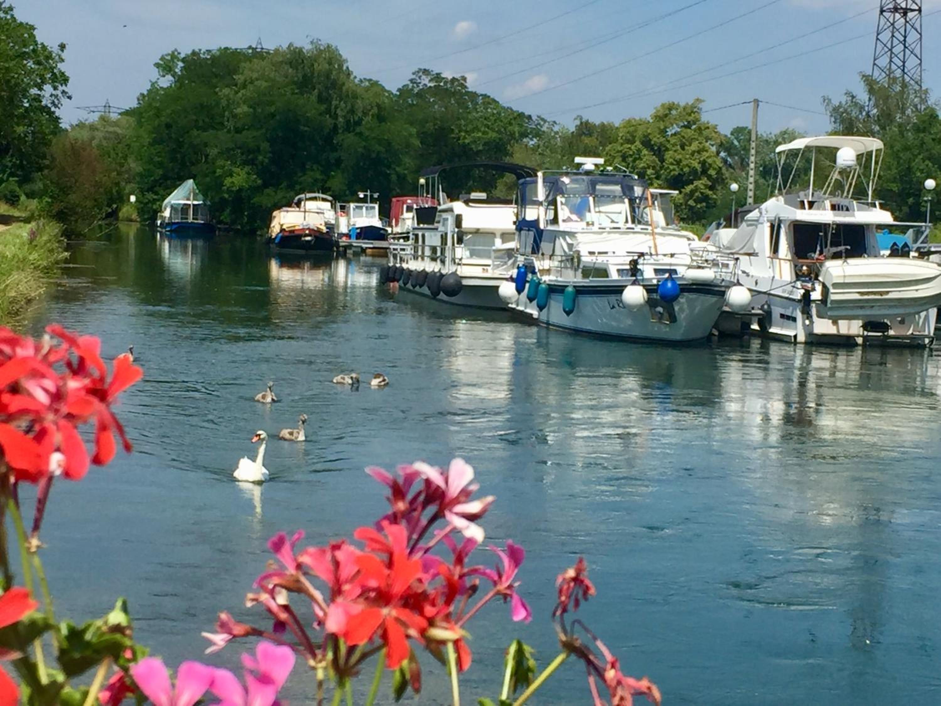 Camping du canal view 5