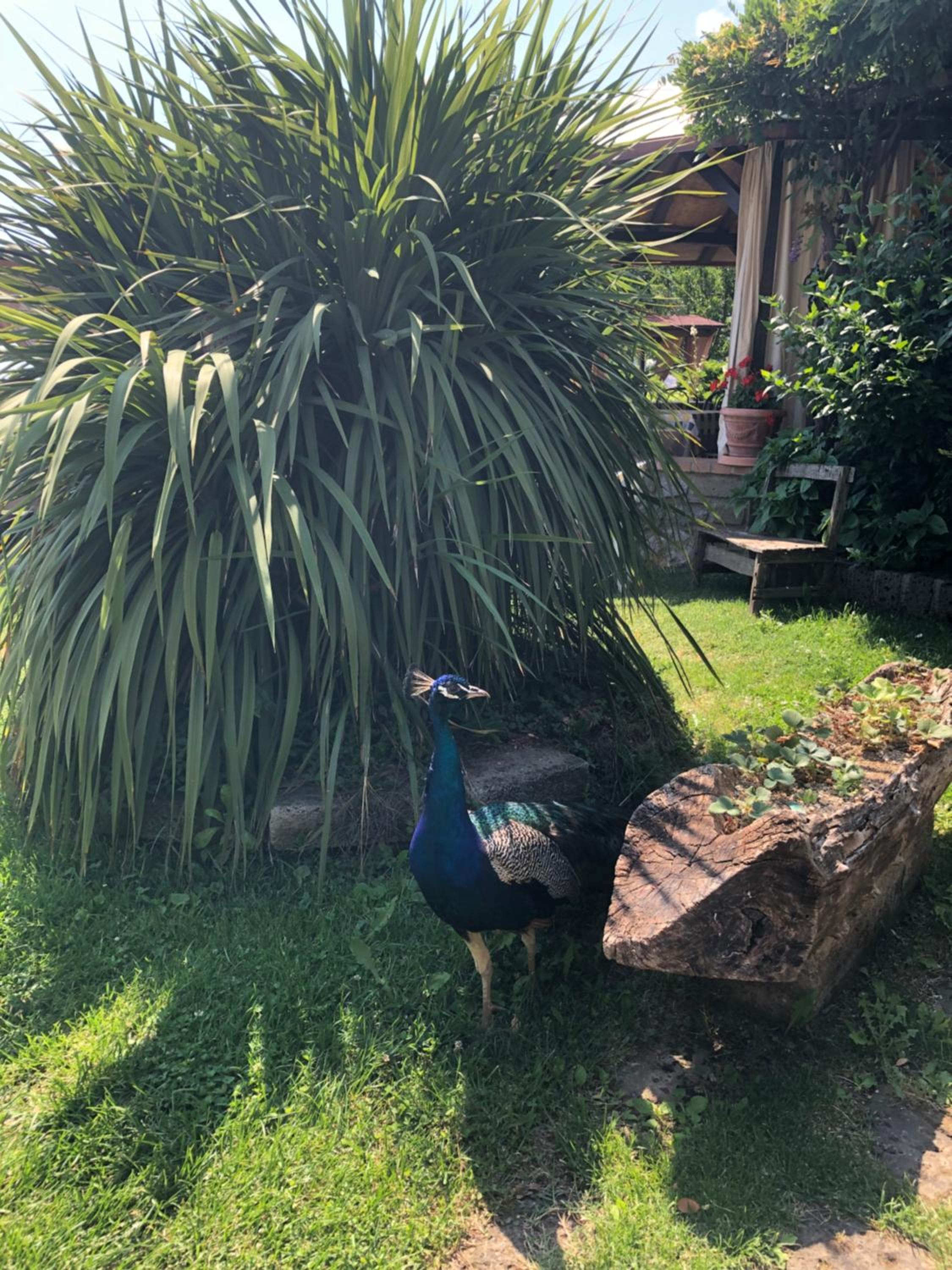 Agriturismo La Baita
