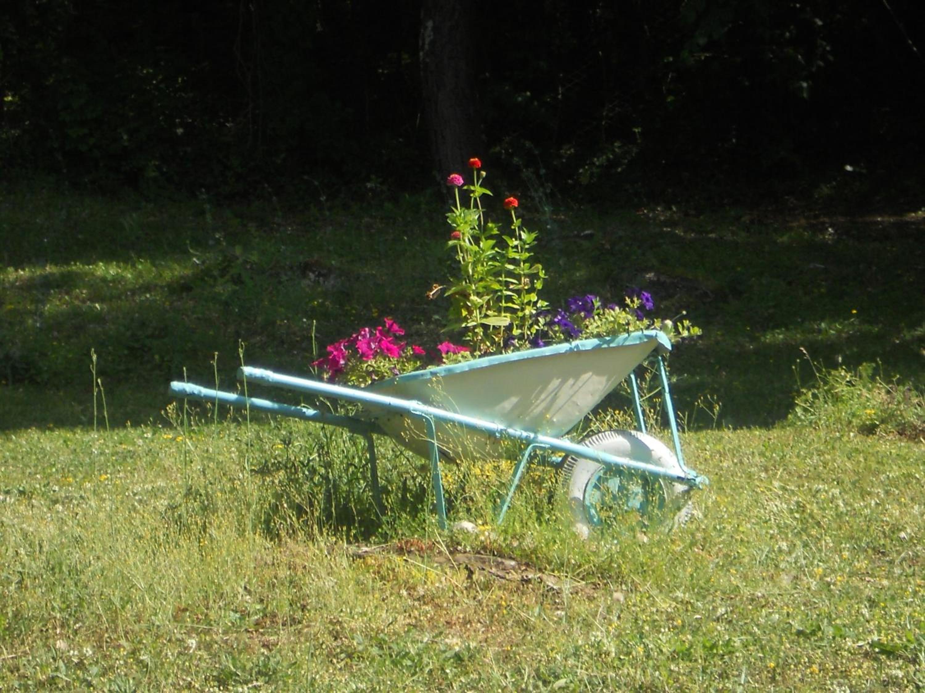 Photo 15
