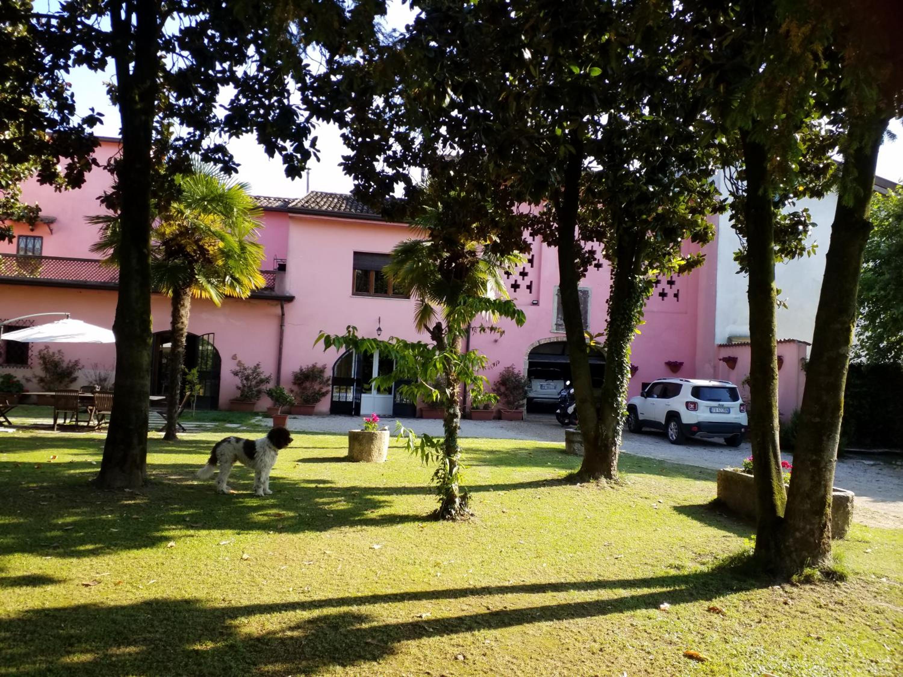 Photo 16