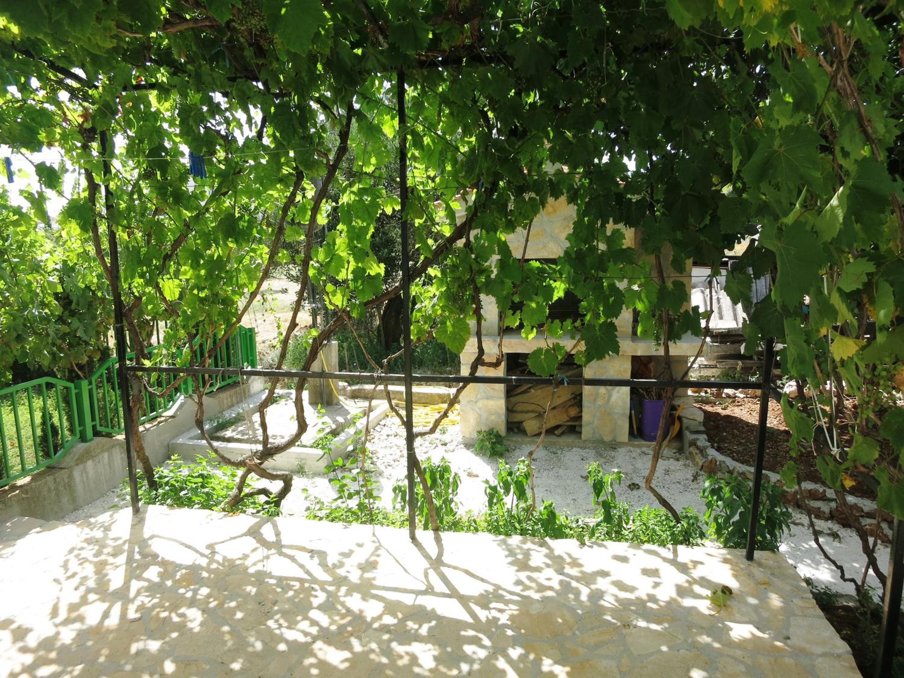 Photo 28