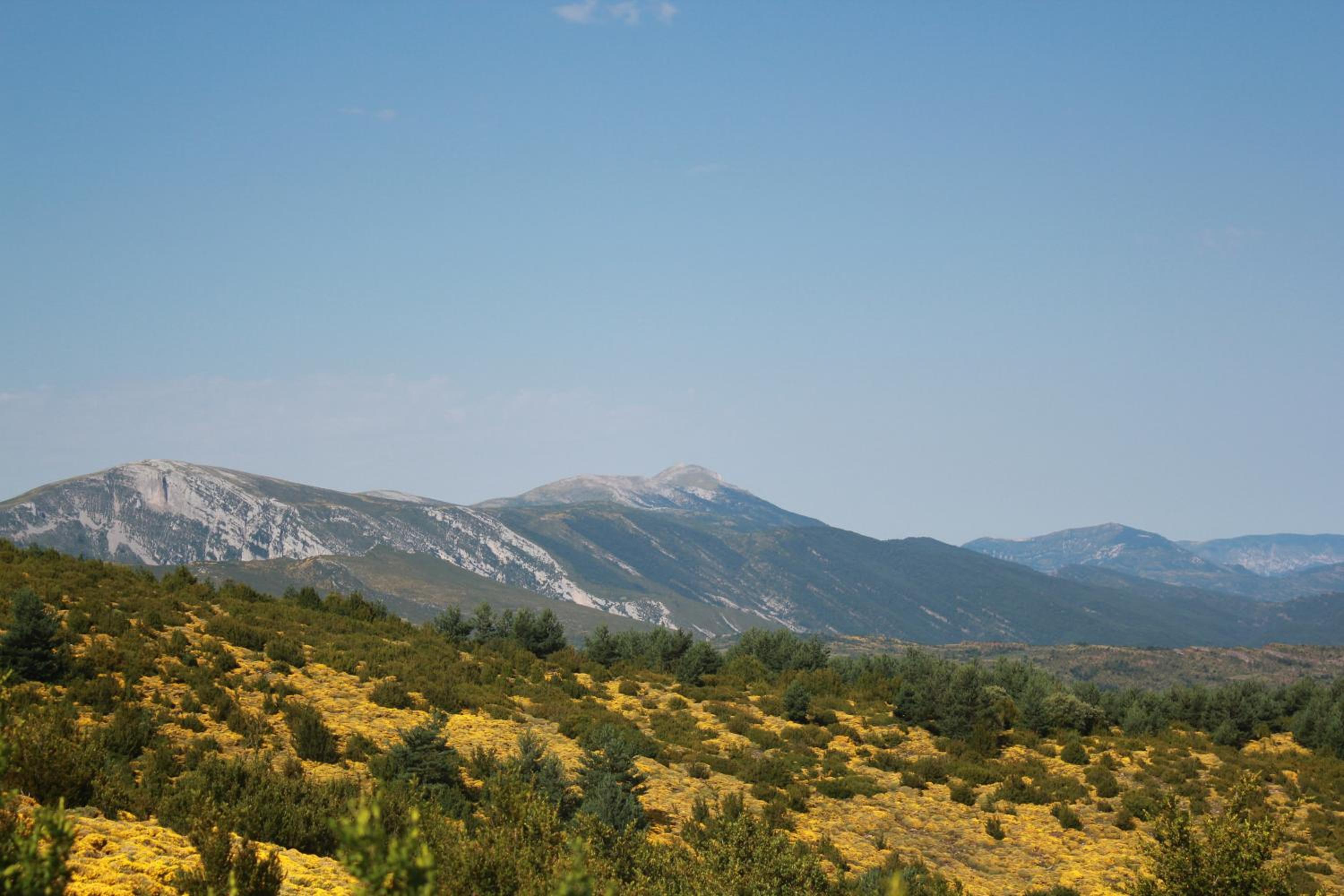 Photo 40