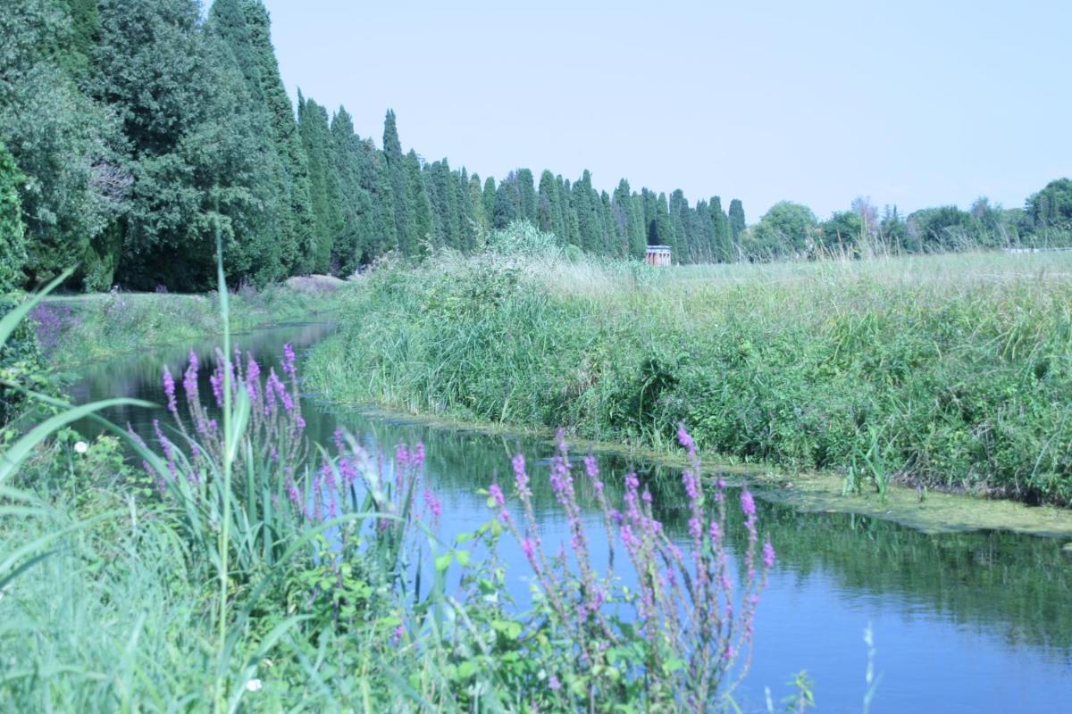 Photo 53