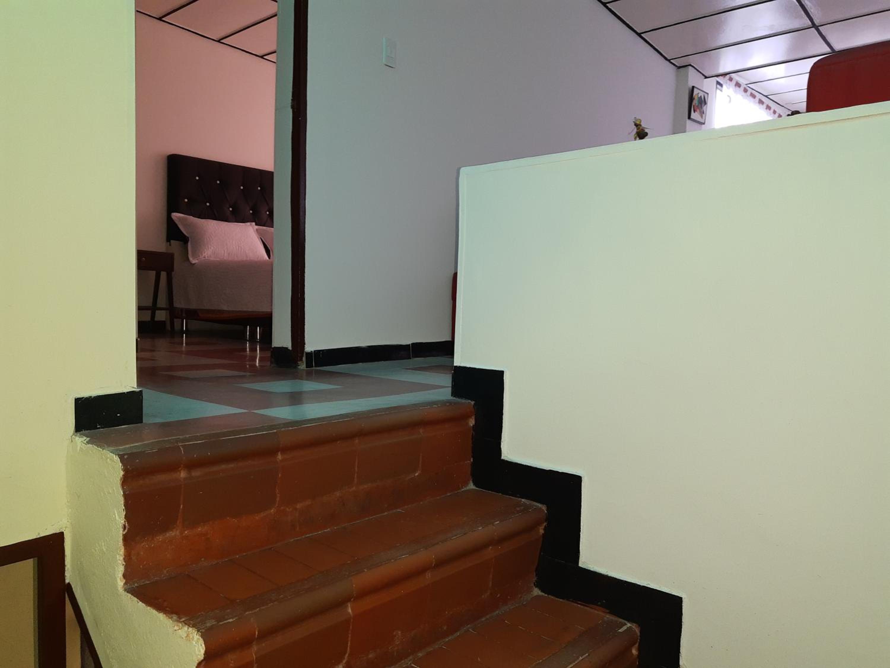 Soloturi'sbogota