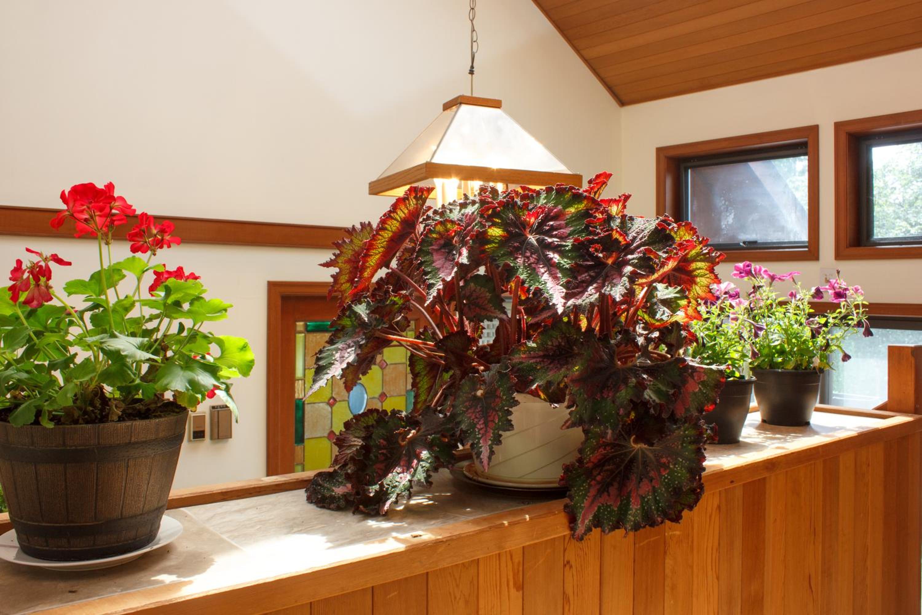 Coles Bay Vacation Retreat