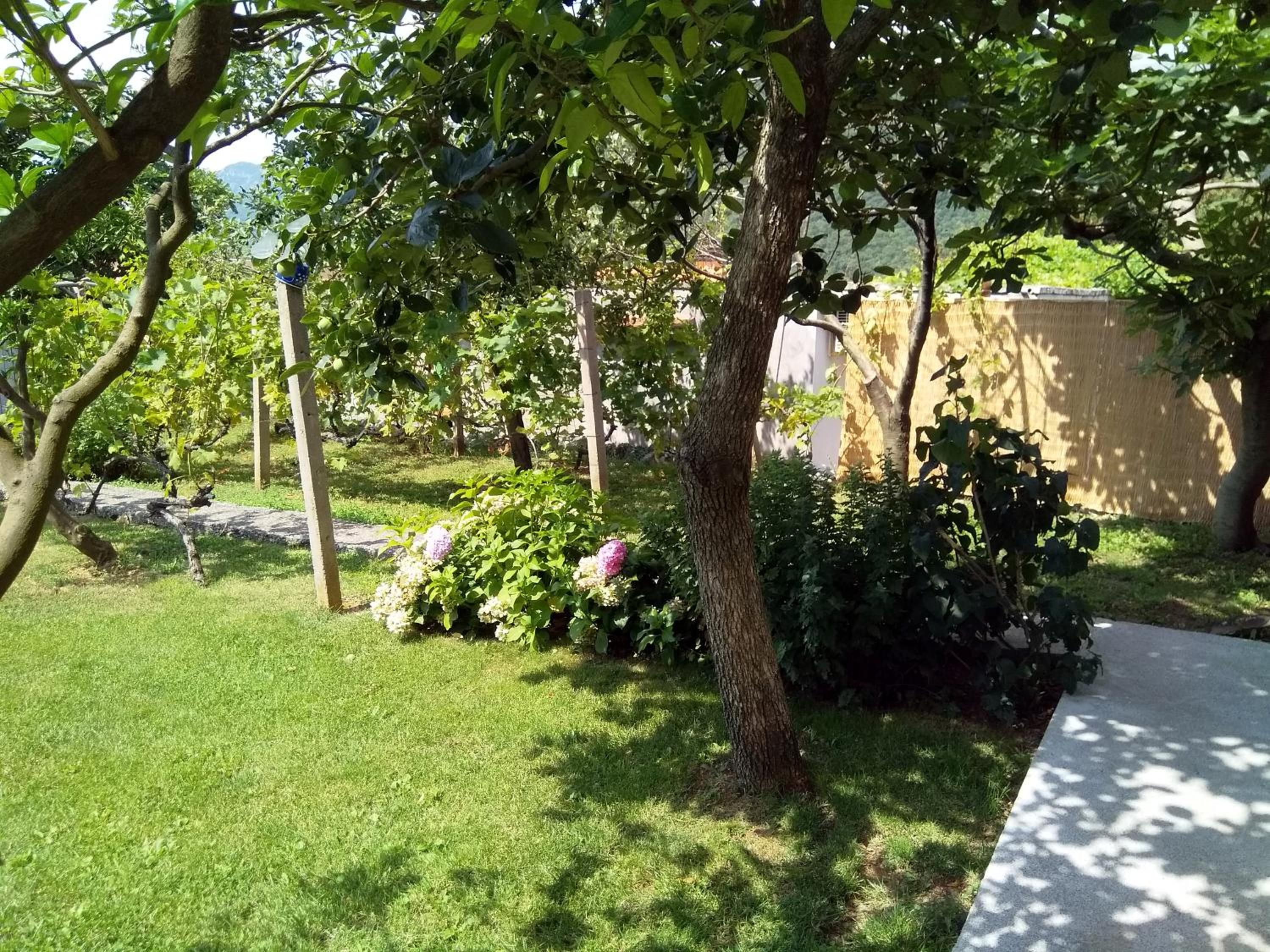 Photo 31