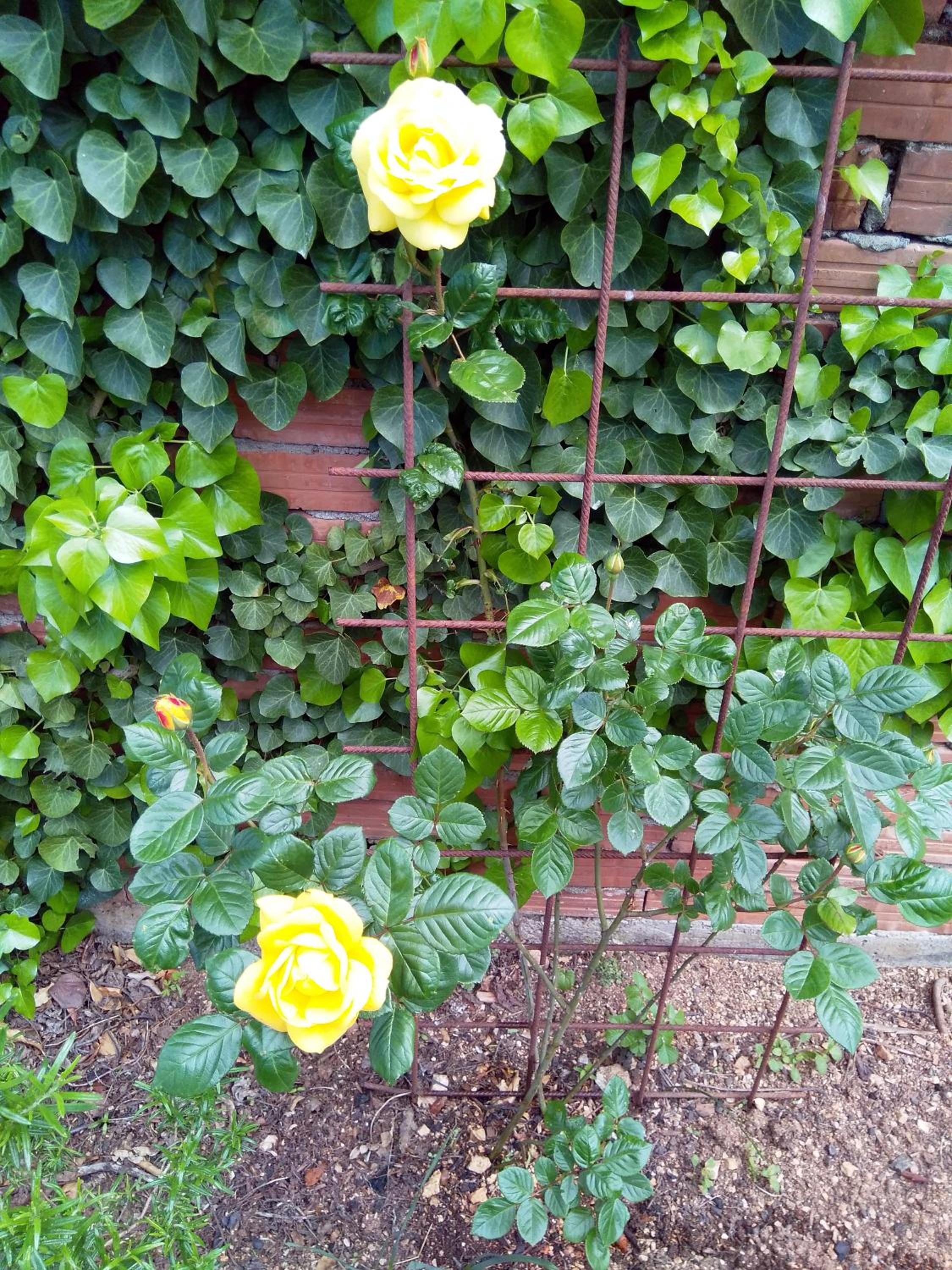 Photo 29