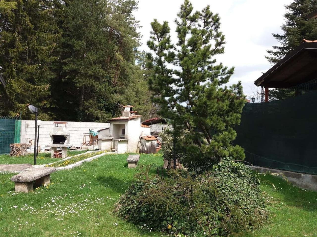 Photo 8
