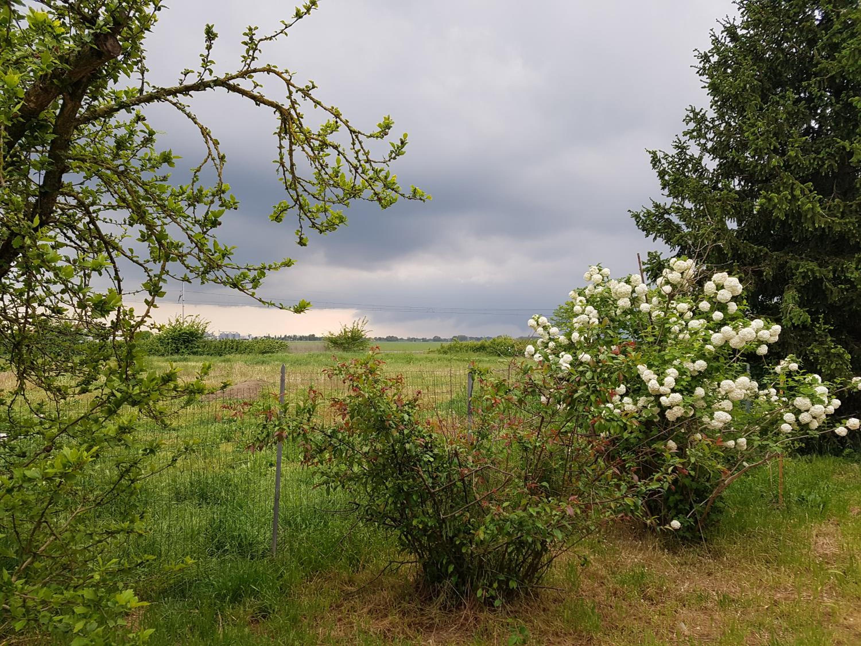Photo 32