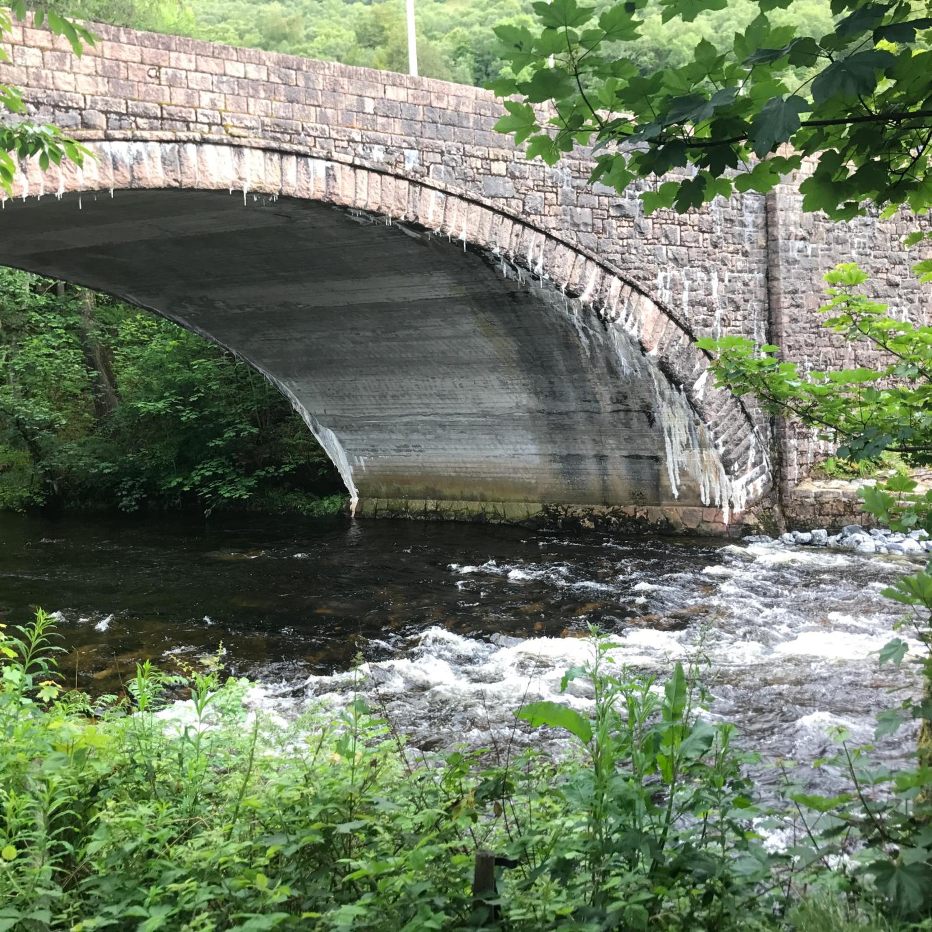 Distillery Guest House