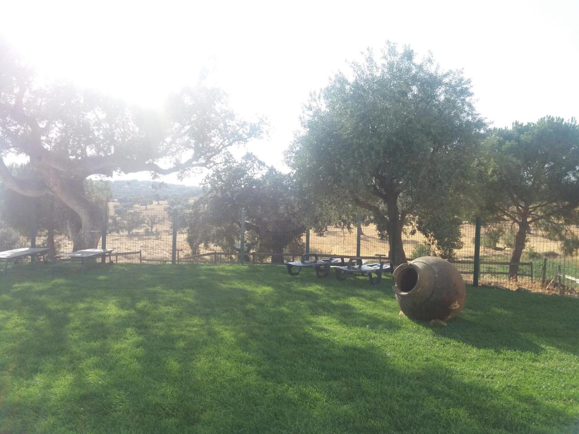 Casas da Faia - Nature Guest House