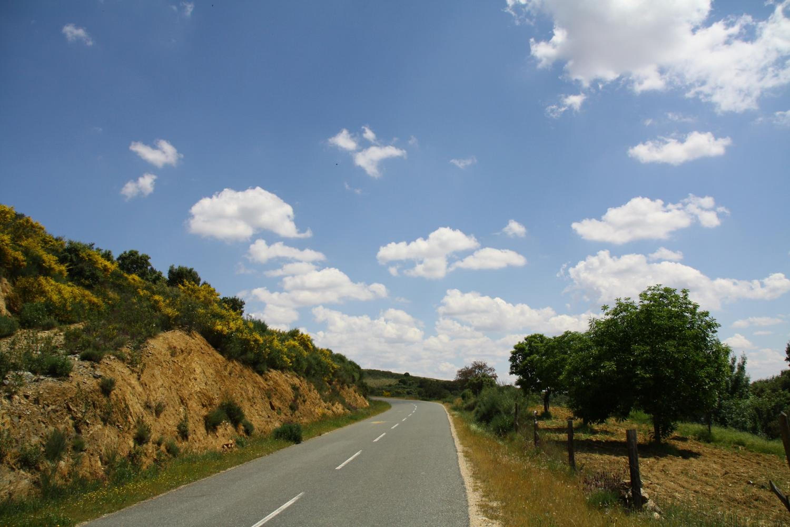 Photo 47
