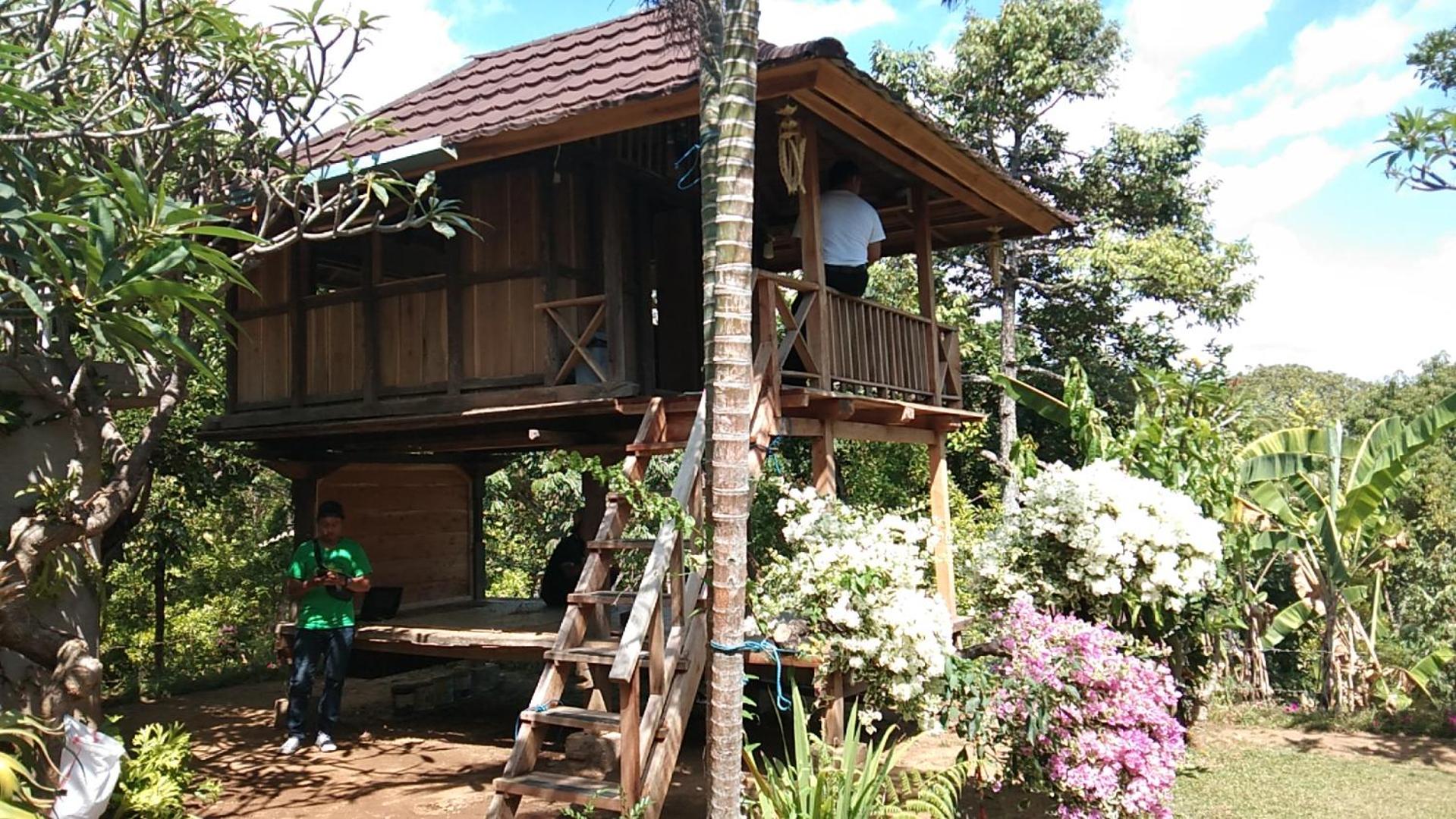 DWM ESA di Kubu Homestay By Reccoma
