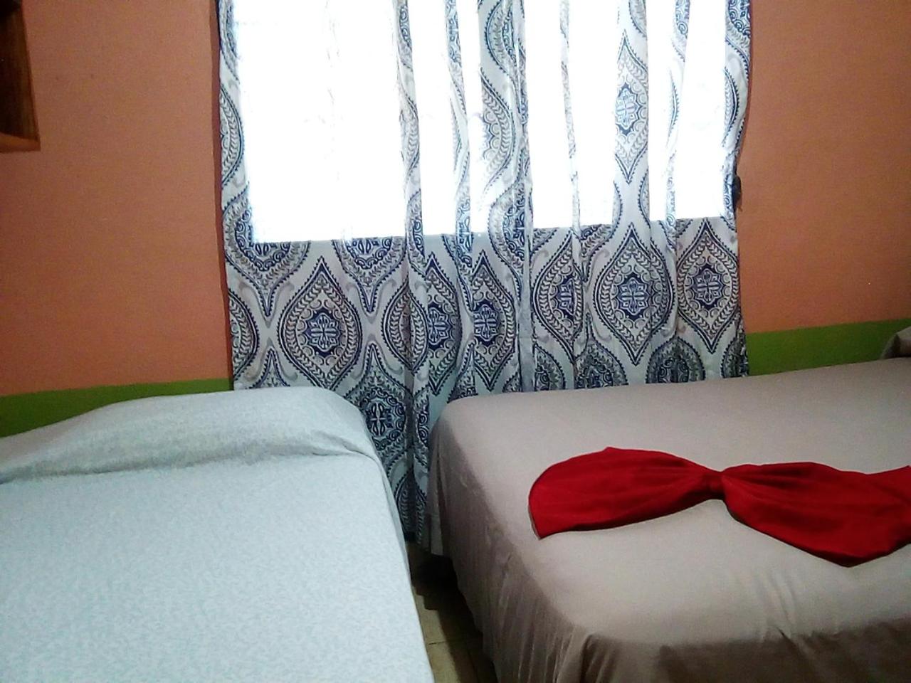 Photo 29