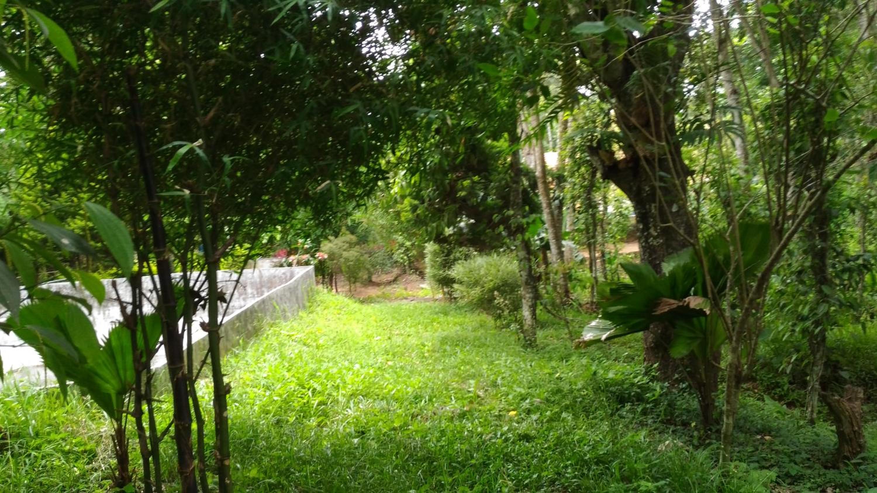 Philip Mary Farm Stay view 3