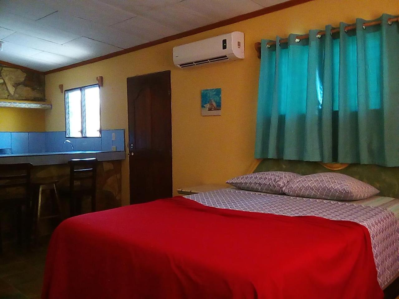 Photo 47