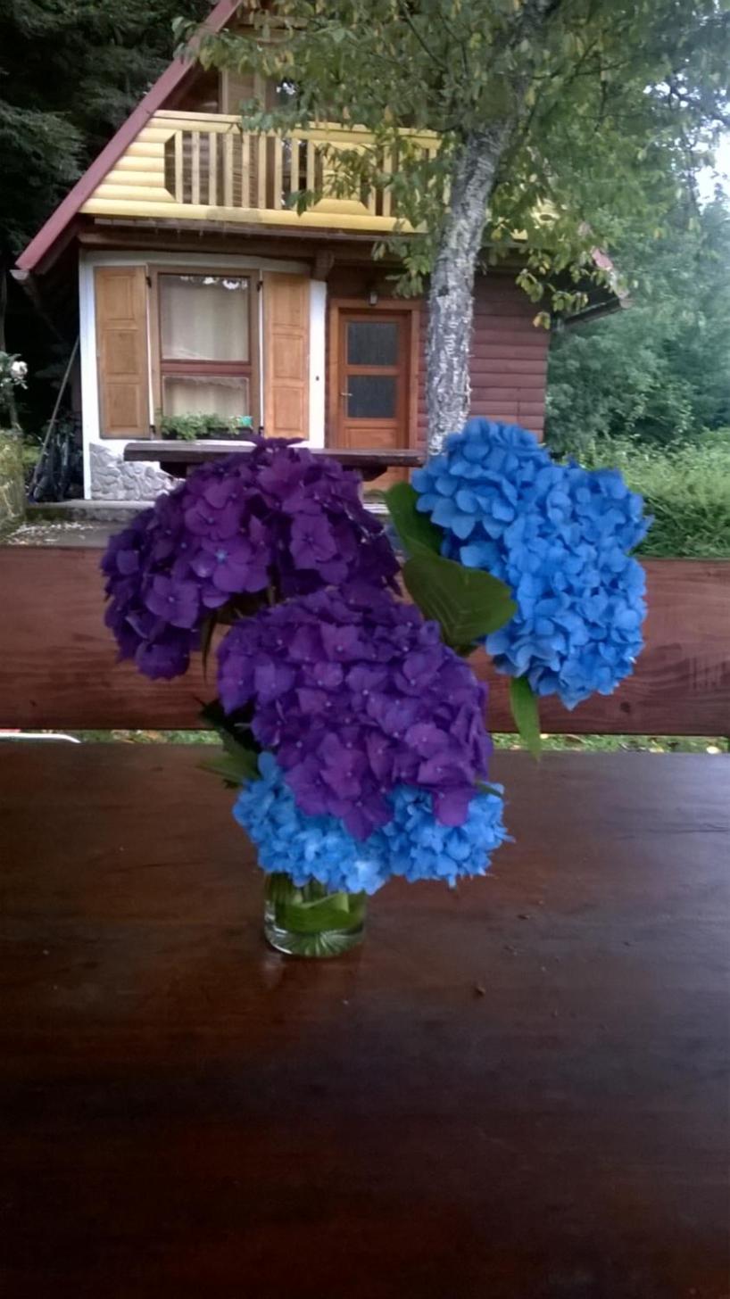 Photo 46