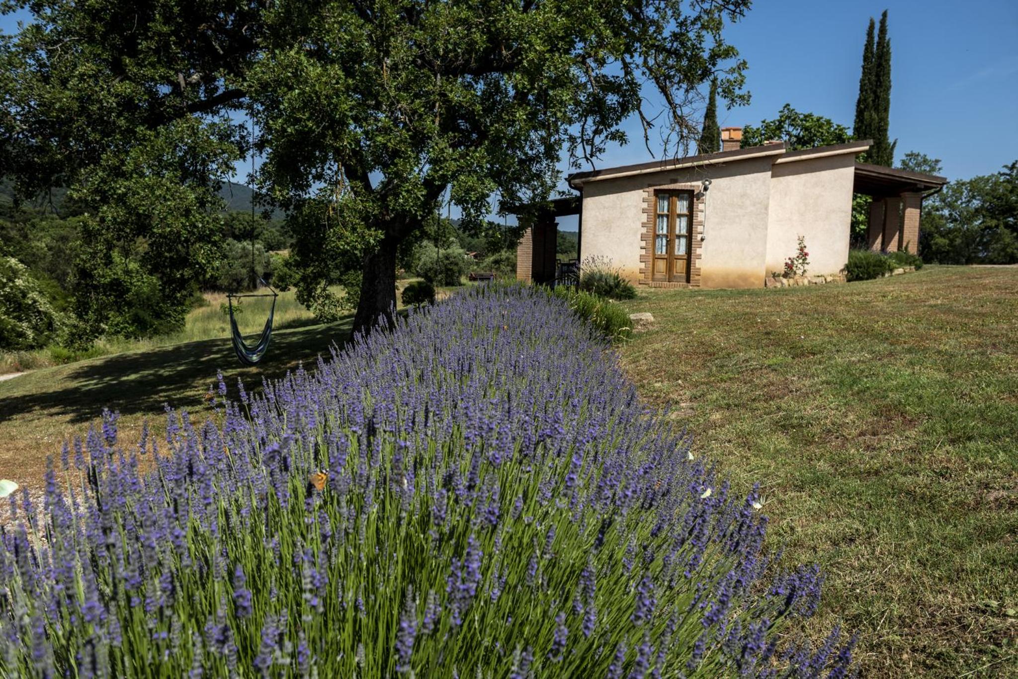 Agriturismo Belvedere Di Pierini E Brugi
