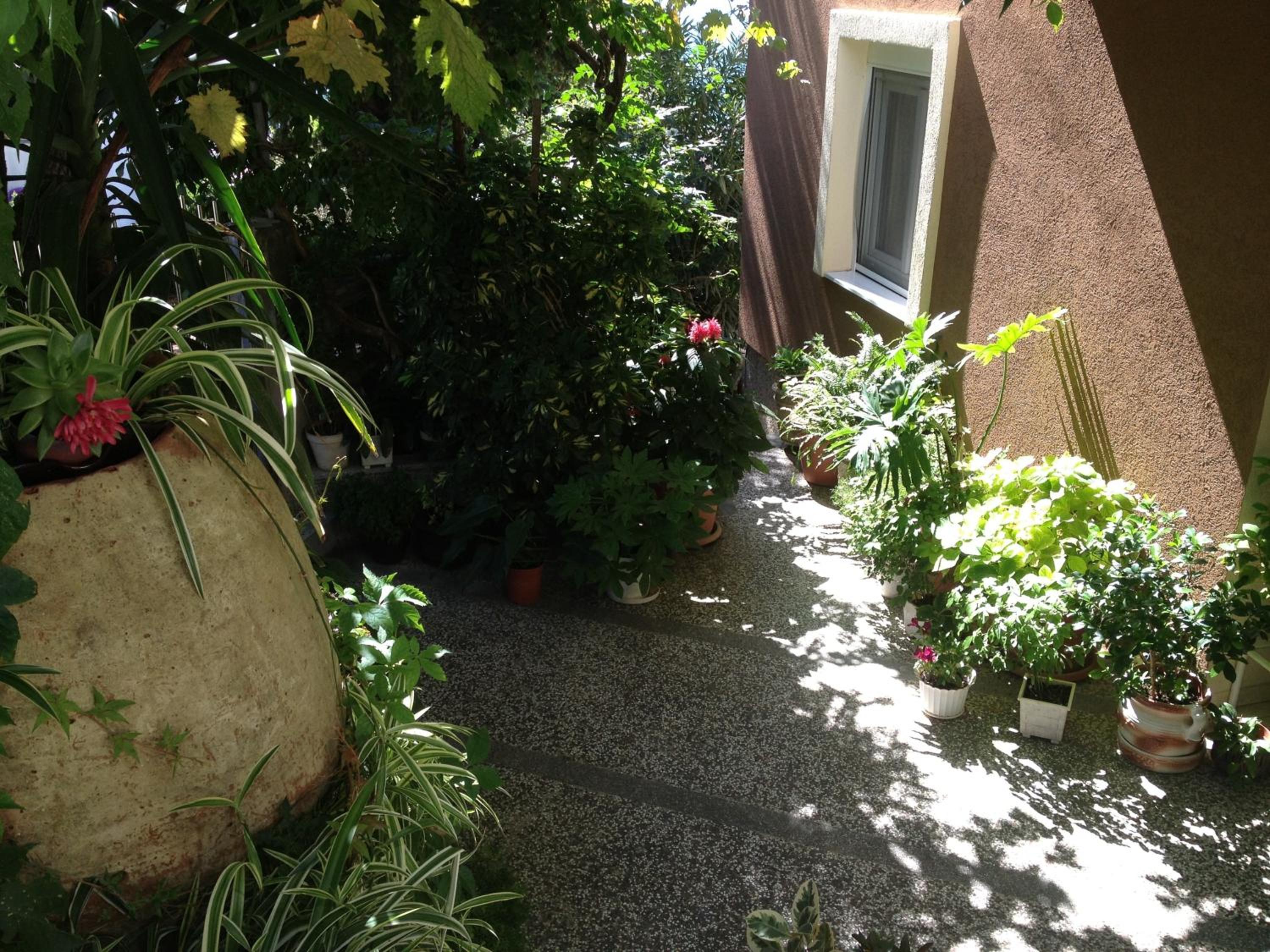 Photo 33