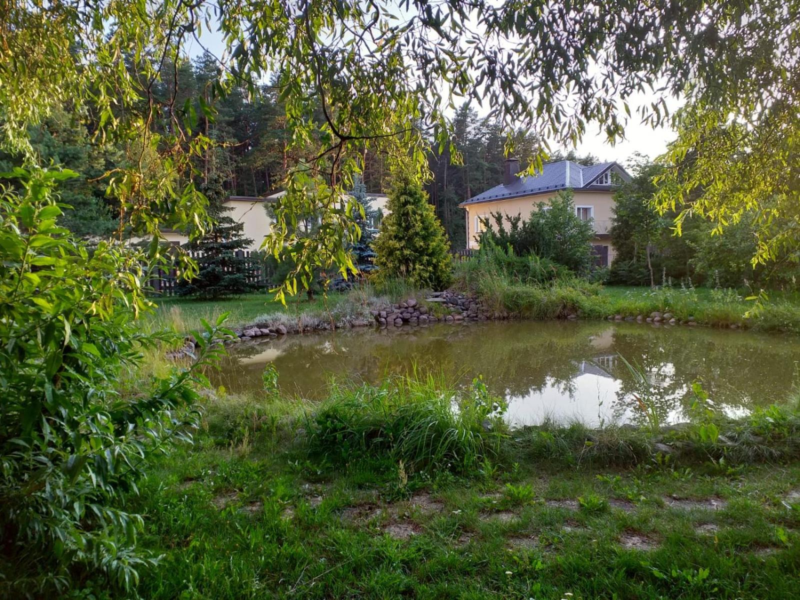 Photo 31