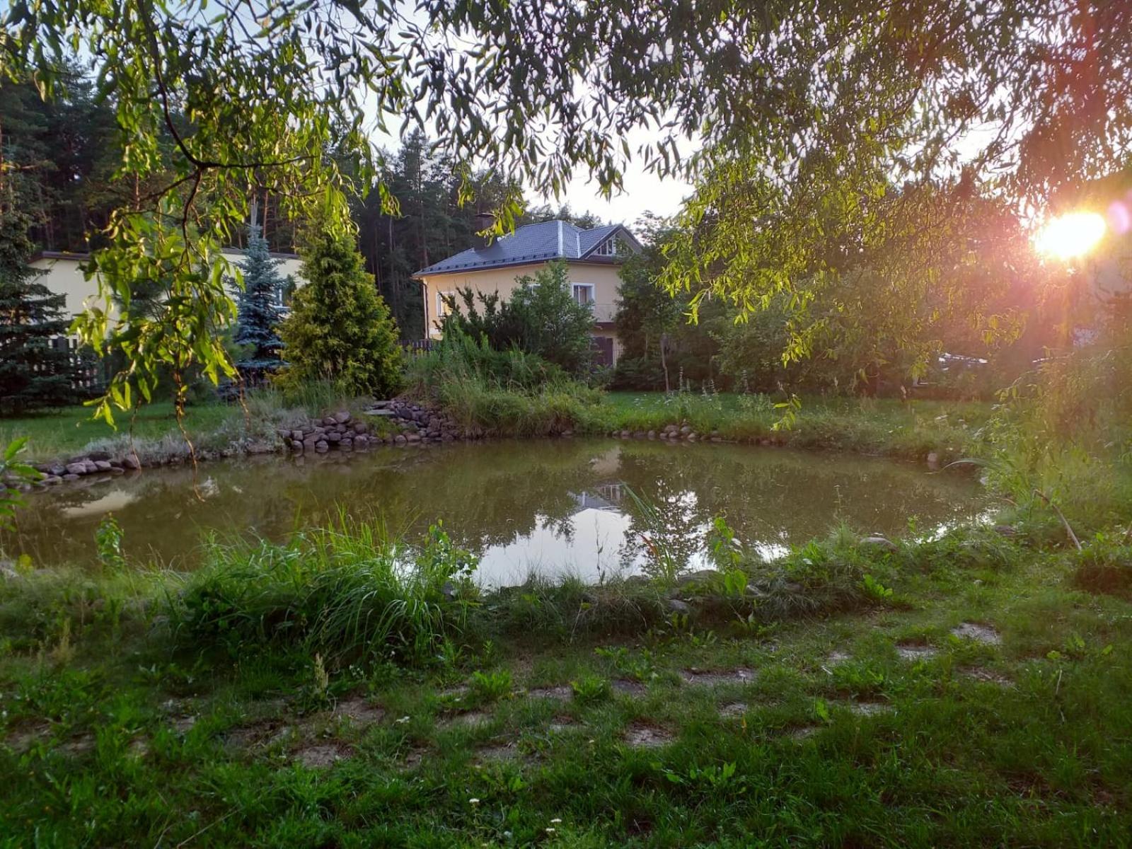 Photo 32