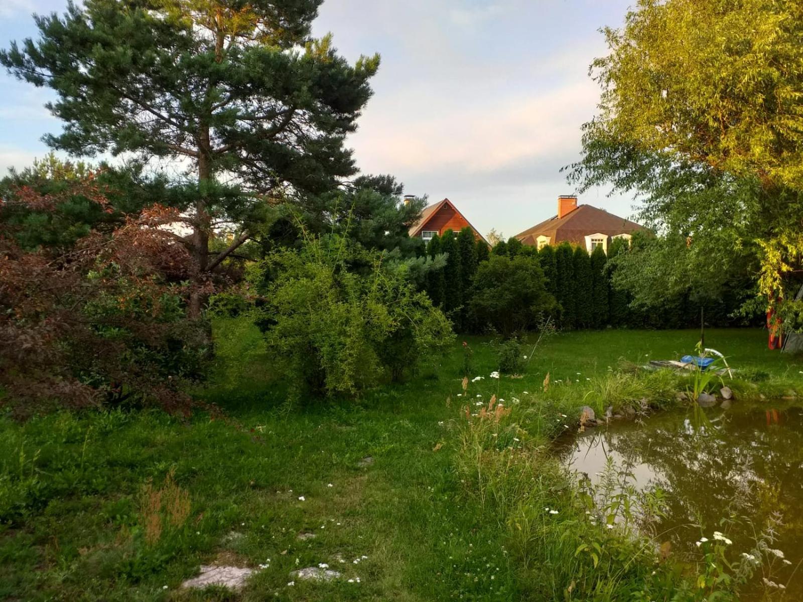 Photo 33