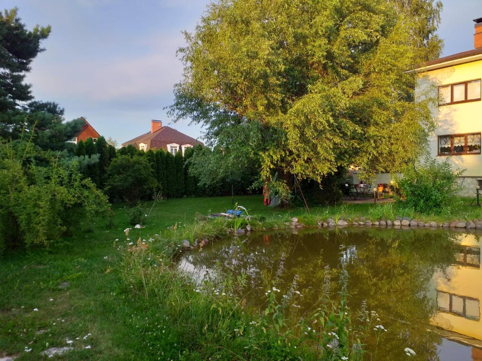 Photo 34