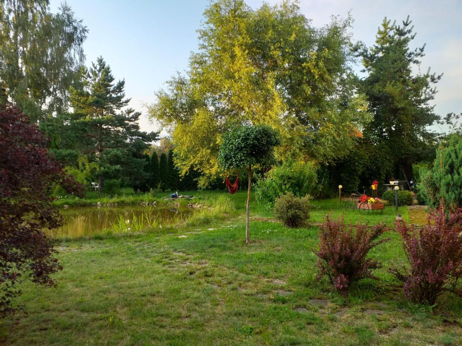 Photo 36