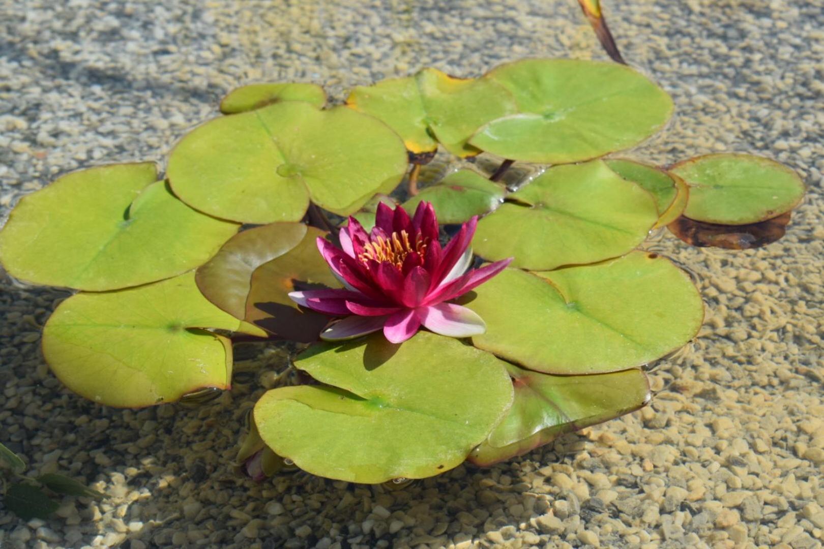 Photo 25