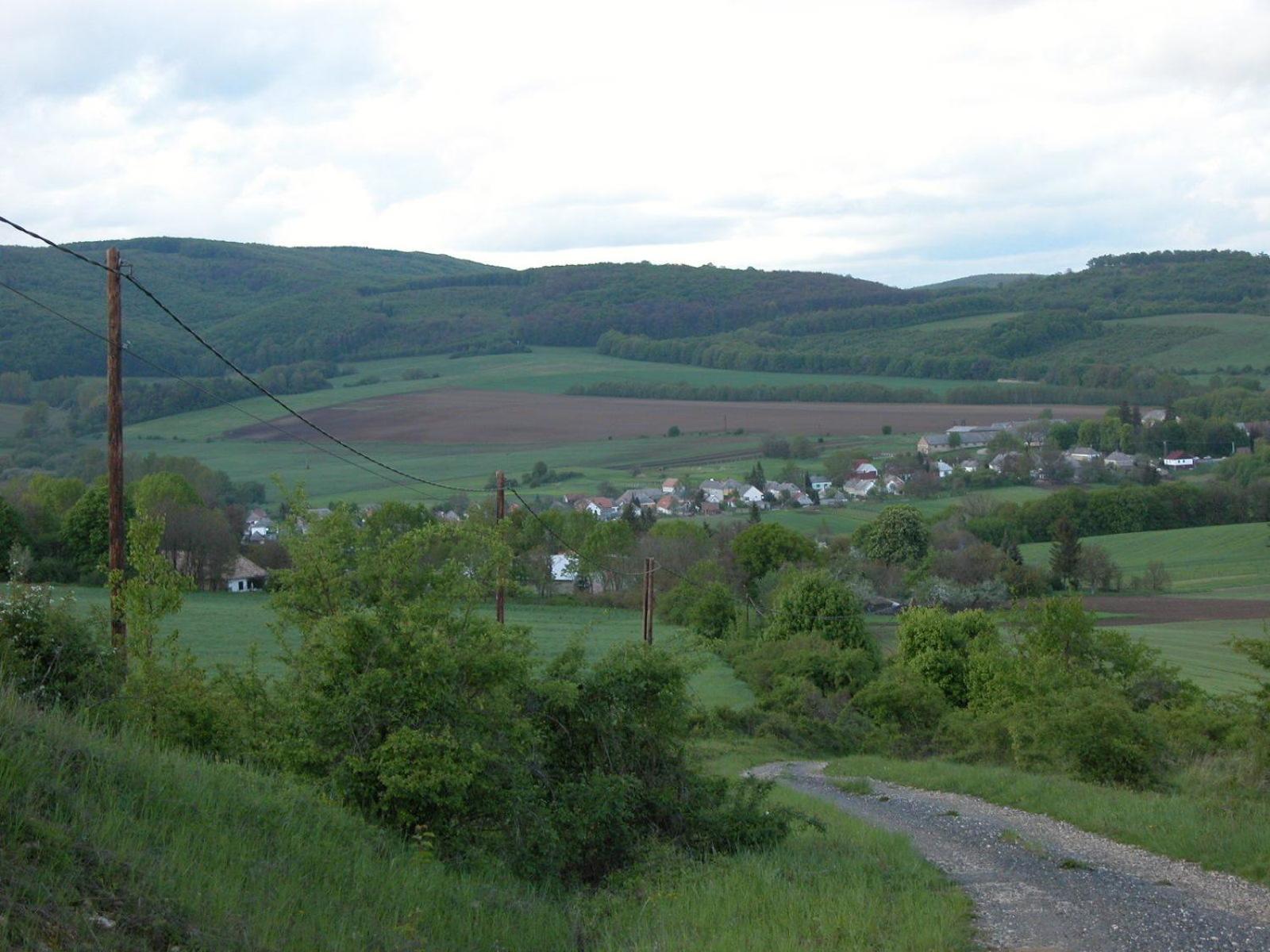 Photo 12