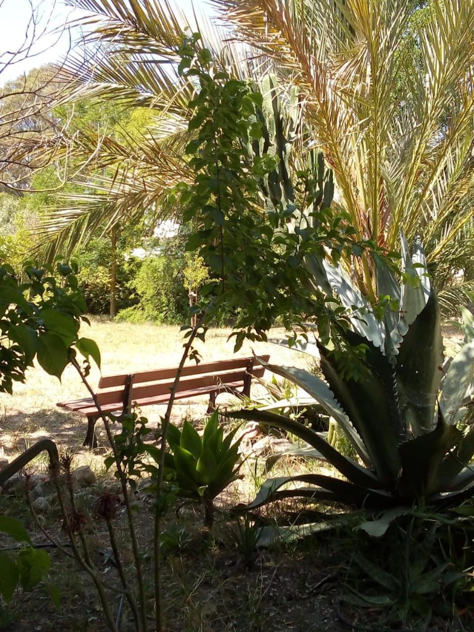 Photo 25