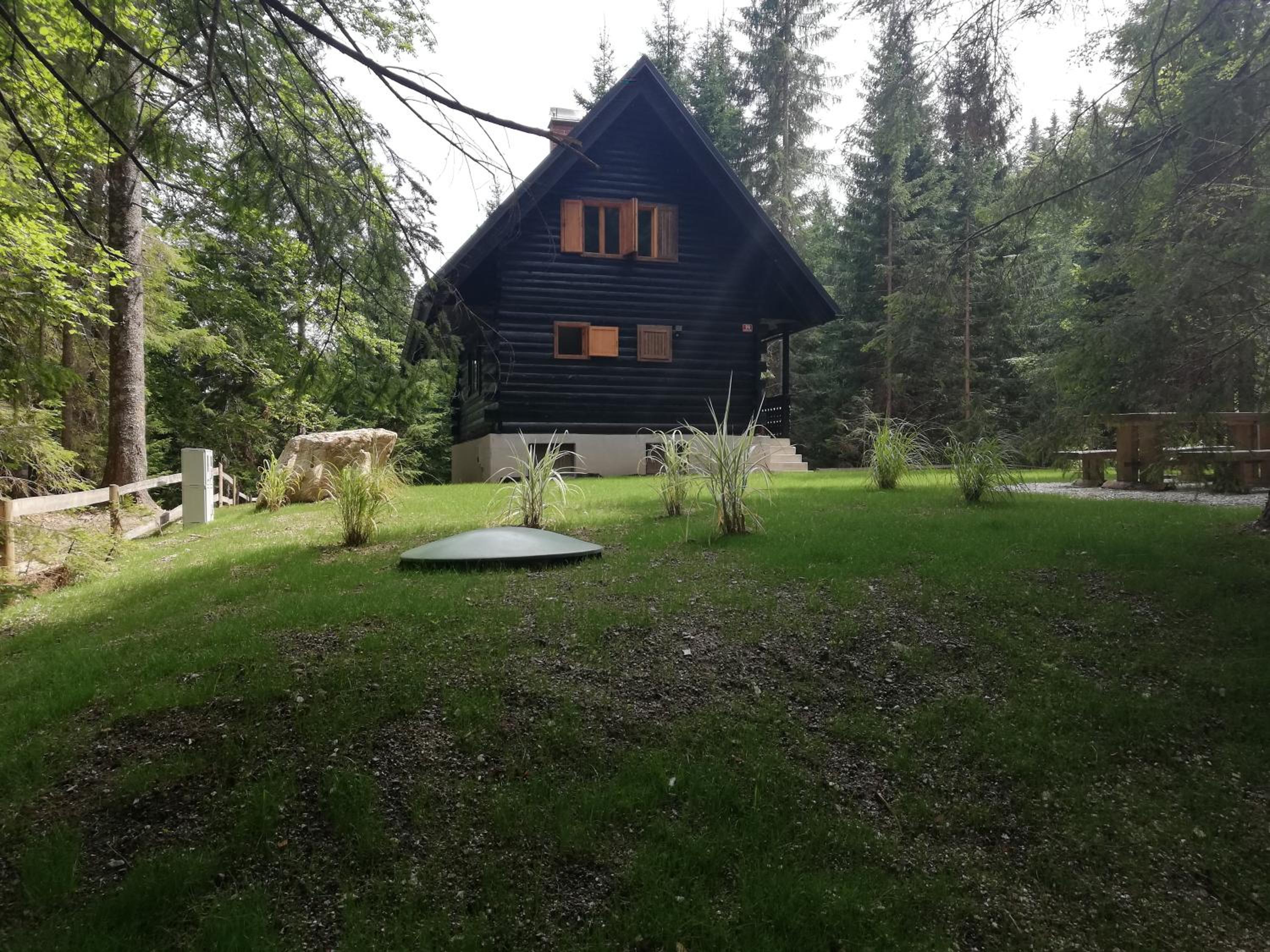 Cosy Lodge Pokljuka view 3