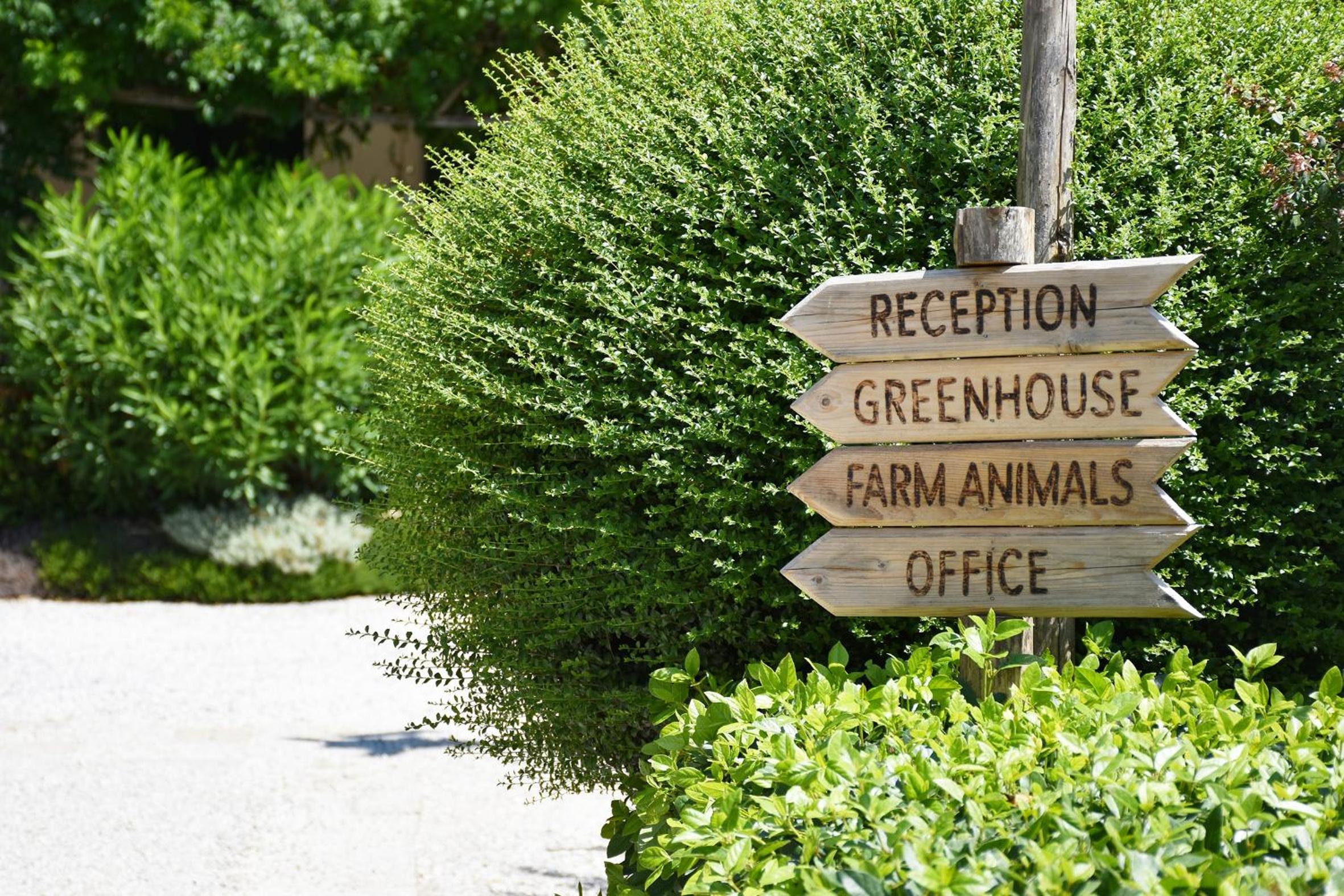 Venicegreen Agriresort view 3
