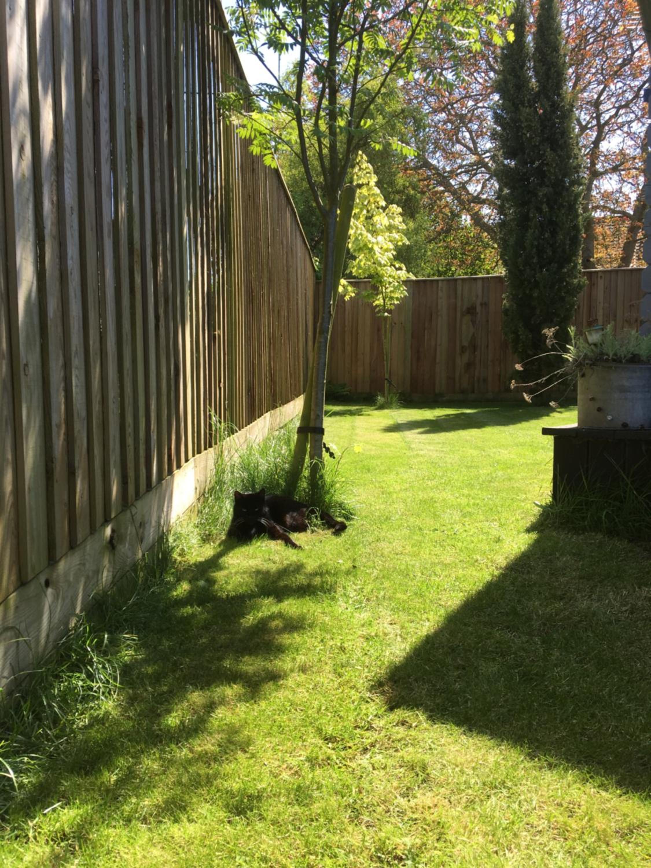Photo 18