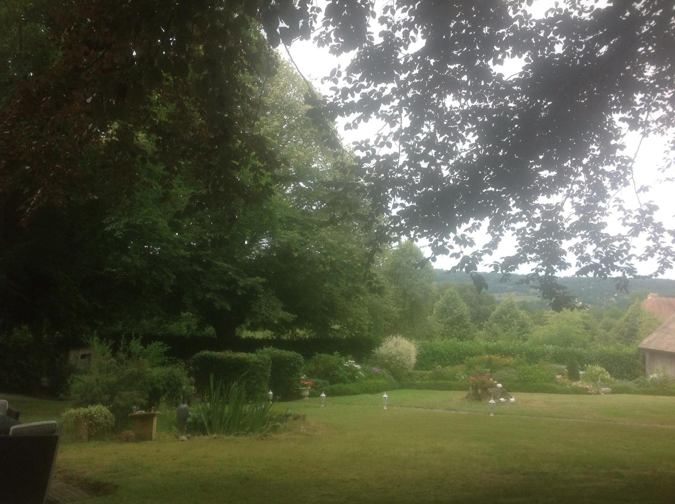 Photo 36