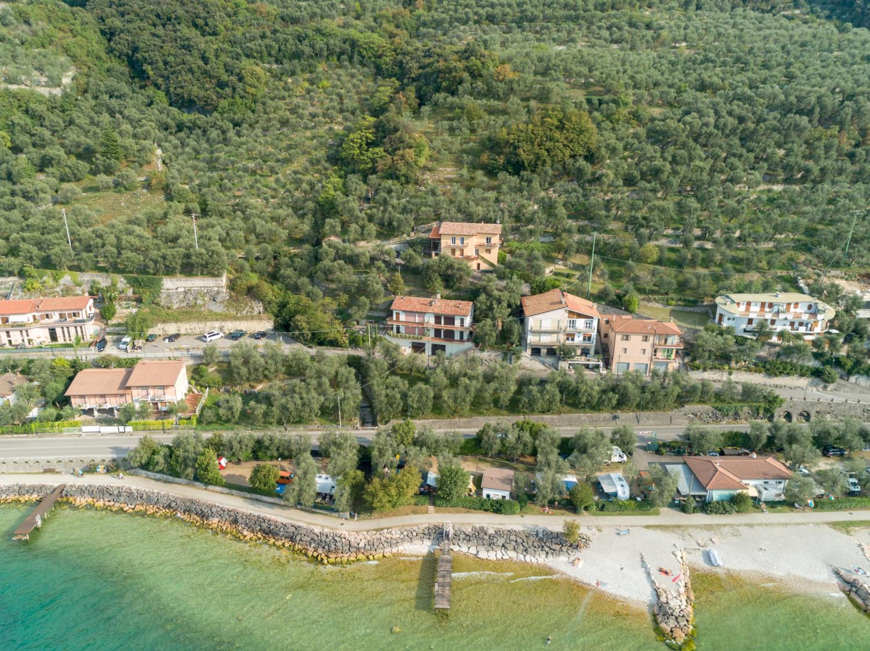 Madonna Dell'Aiuto True View Olivo view 2