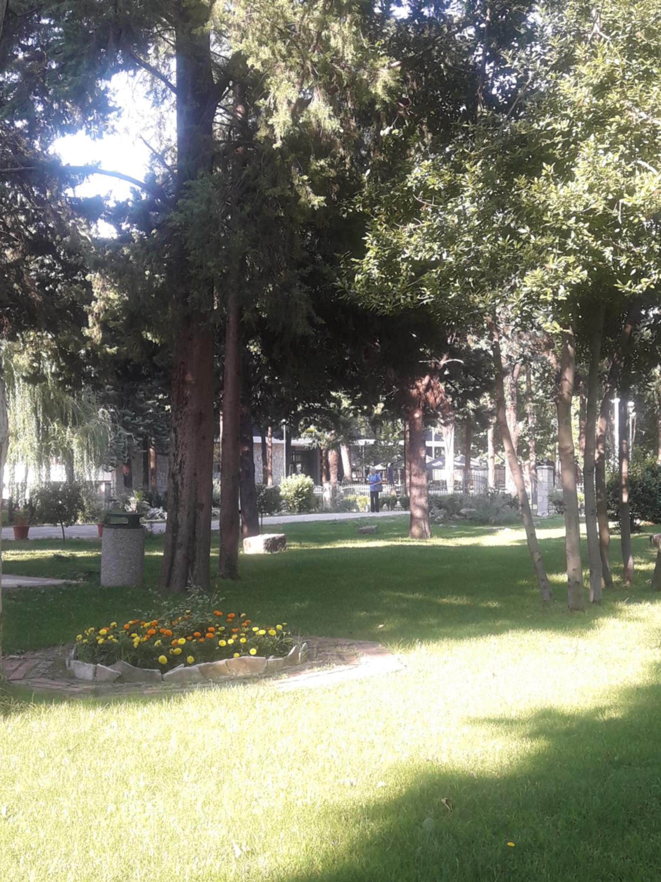 Photo 37