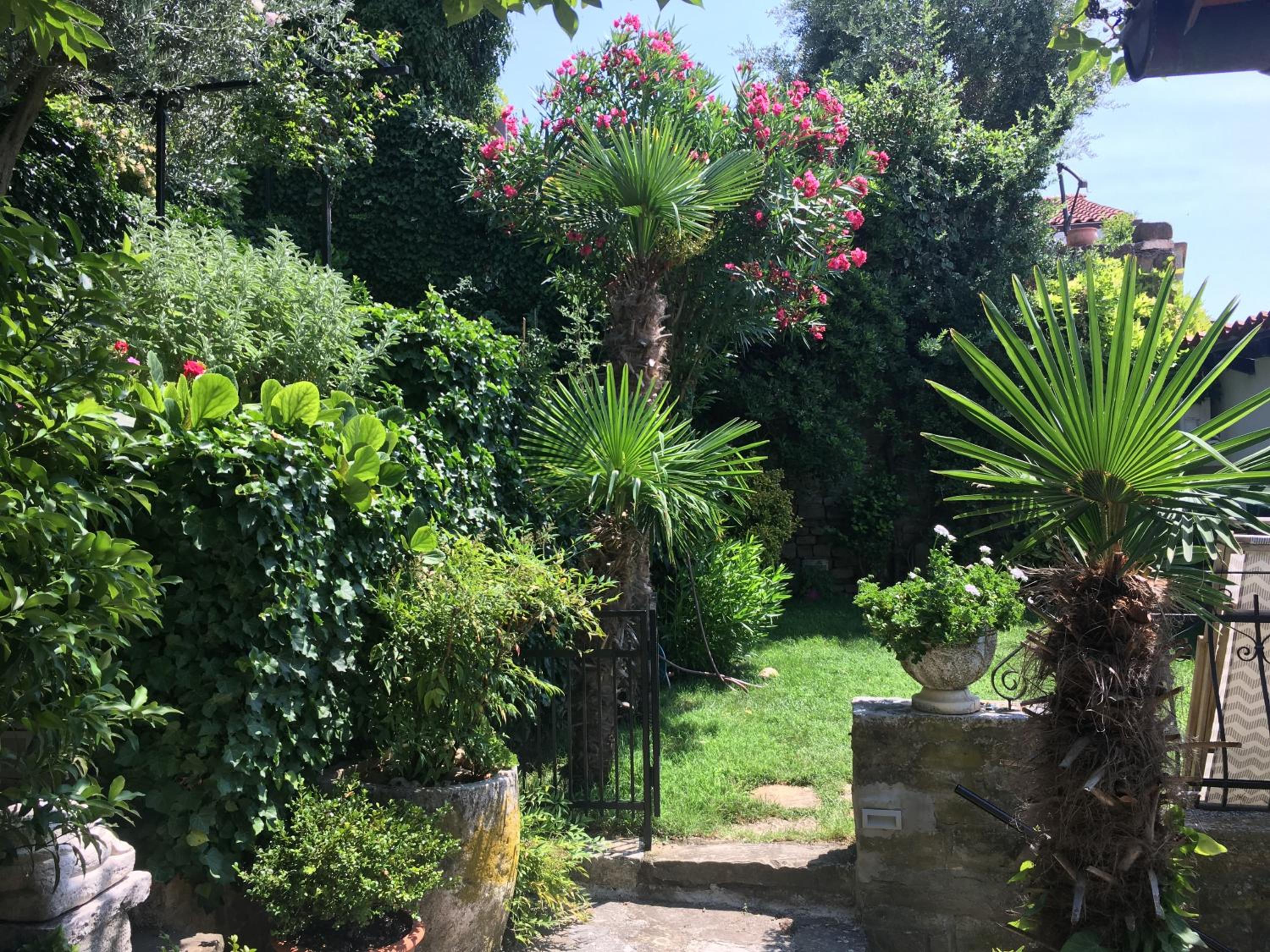 Photo 27