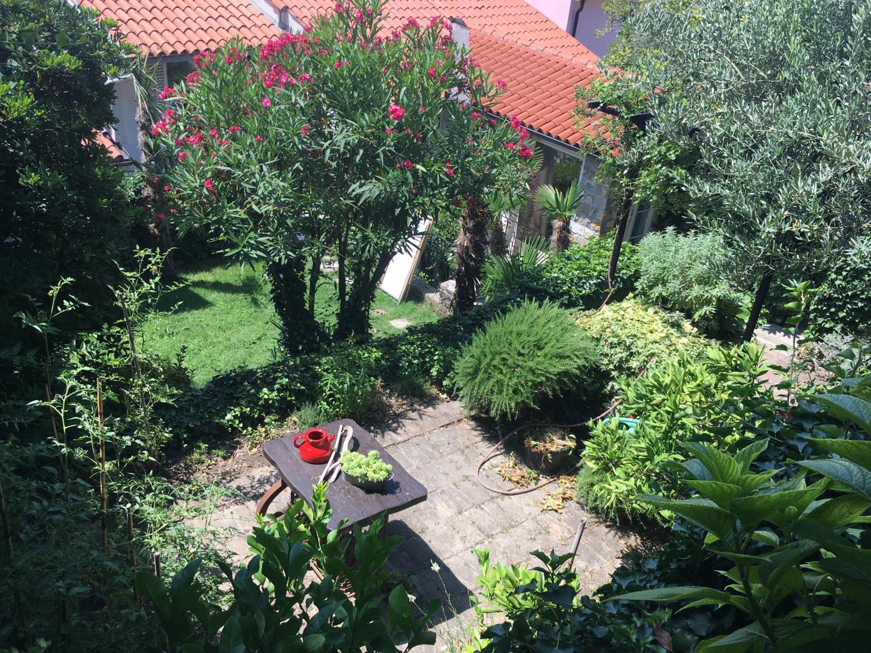 Photo 26