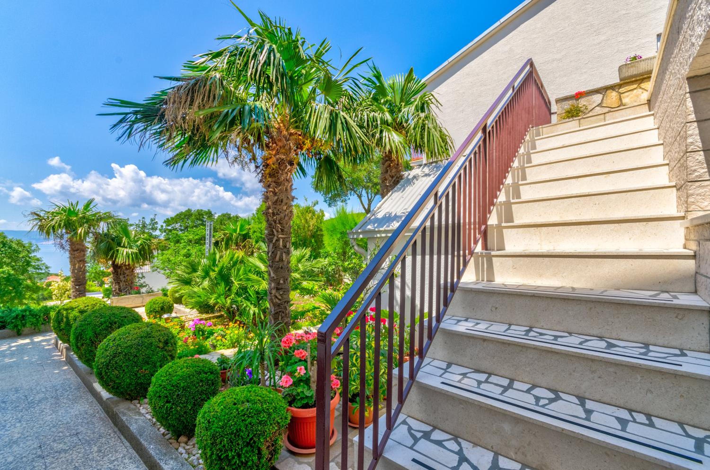 Apartmani Katica view 5