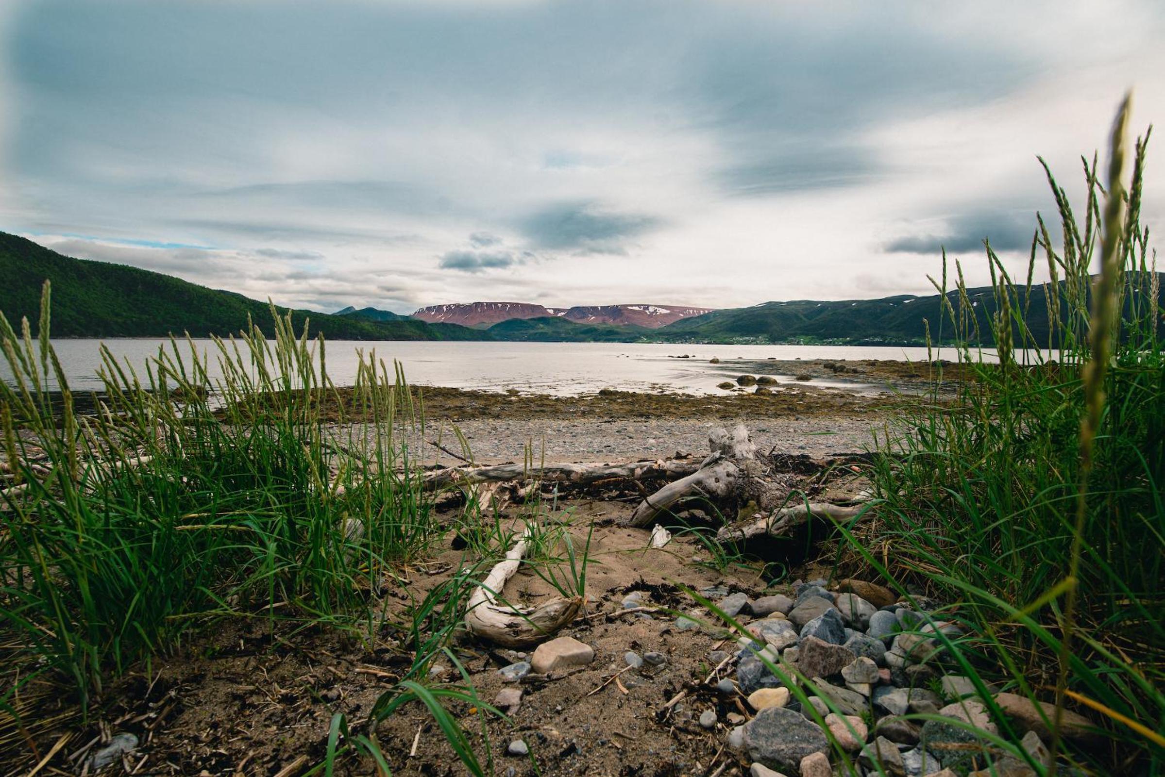 Out East B&B - Norris Point