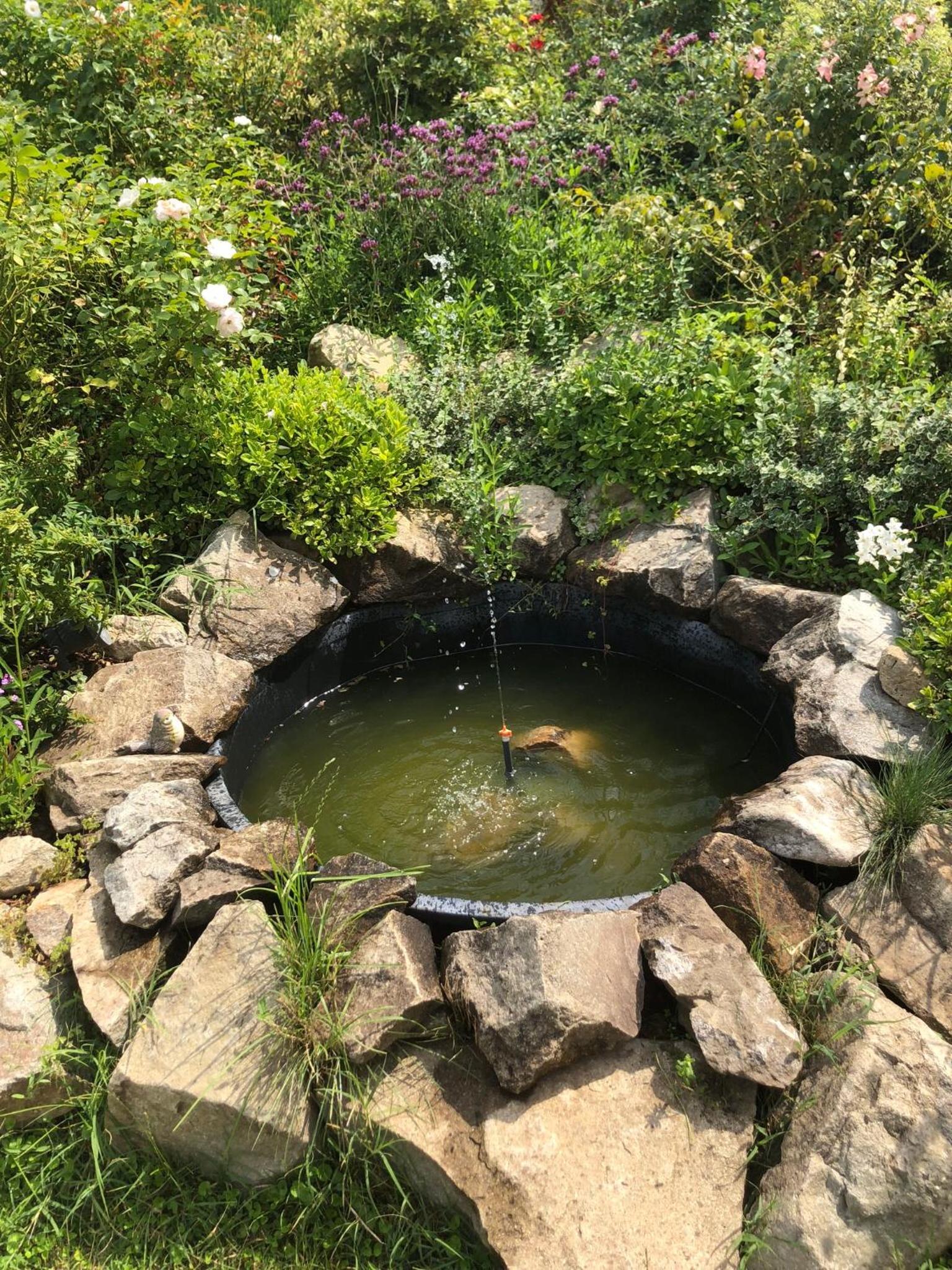 Photo 28