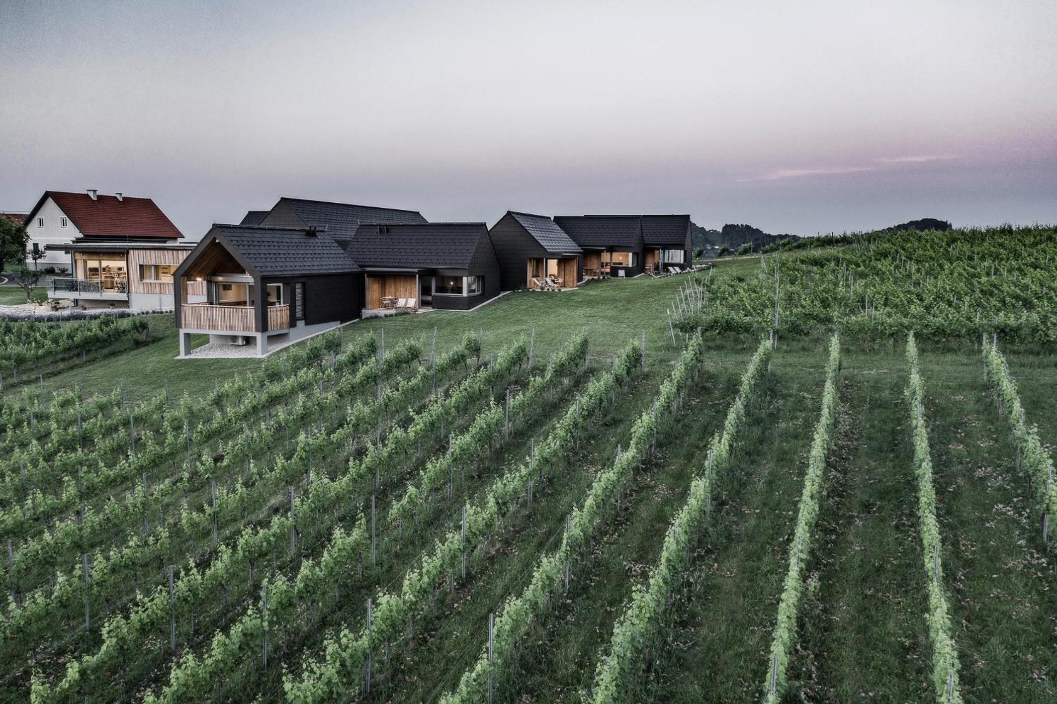 Weingut & Winzerhäuser Skringer view 2
