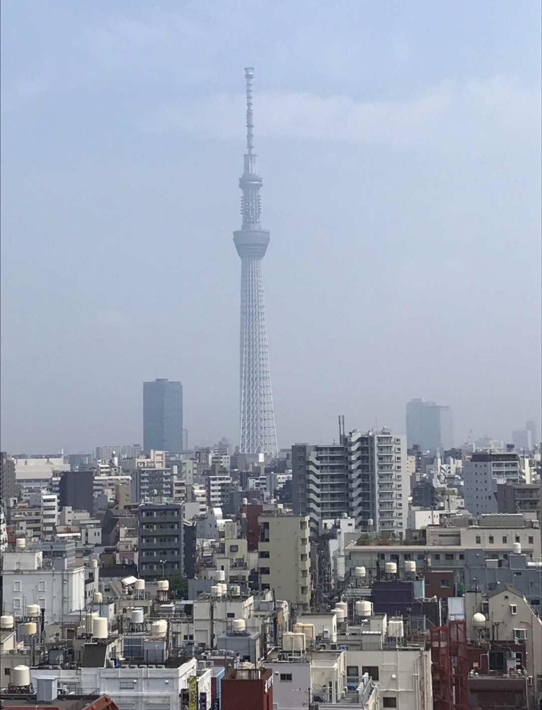 sakura house