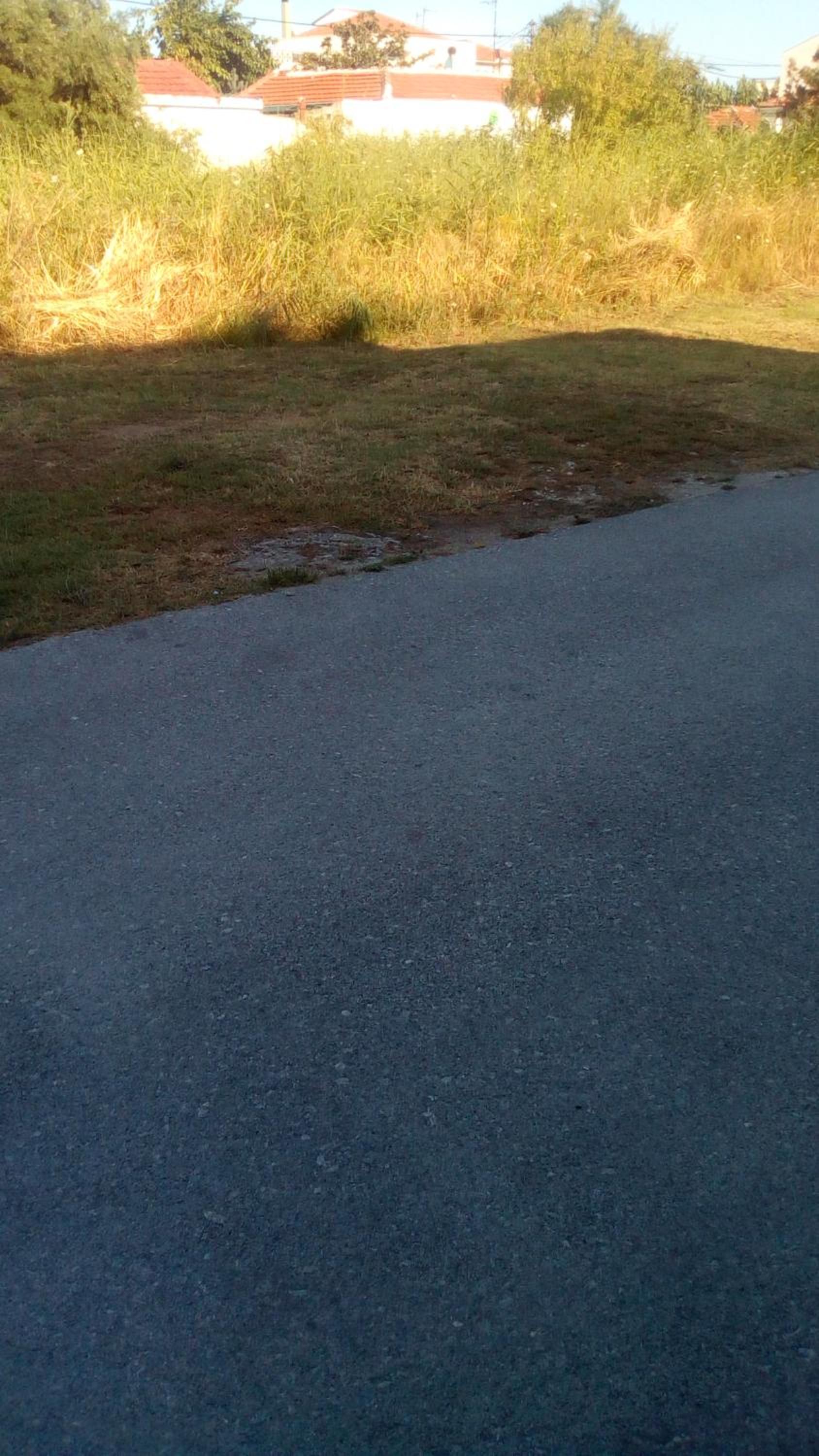 Photo 38