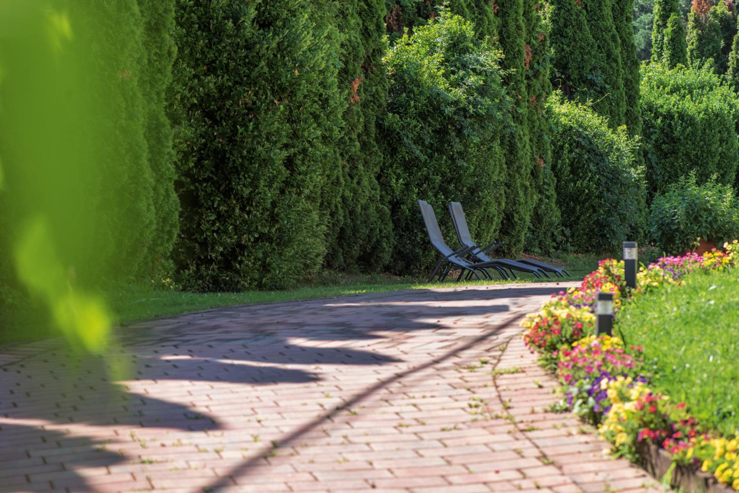 Photo 79