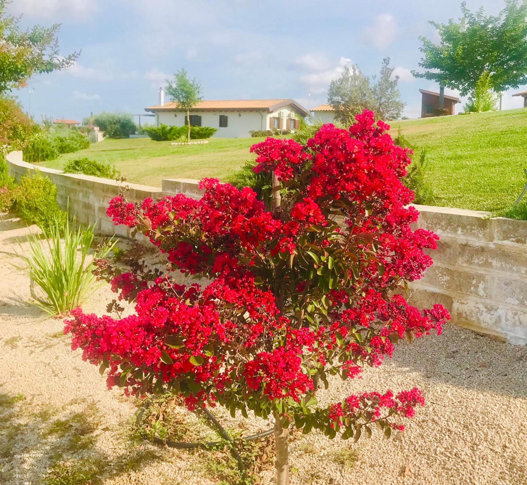 La collina delle fonti